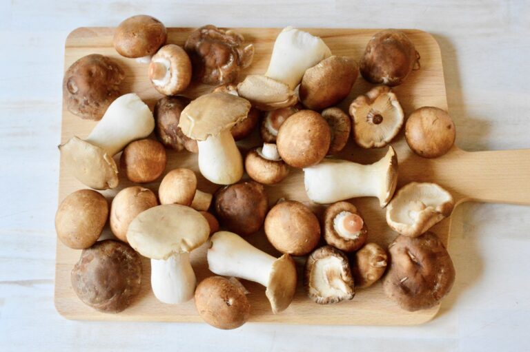 Mushrooms and Jackfruit Are Set to Dominate the 2026 Culinary Scene