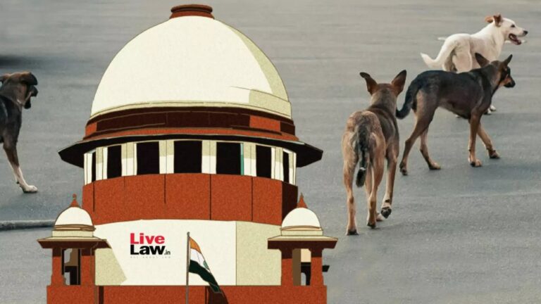 Supreme Court’s Firm Stance: Public Safety First in Stray Dog Debate