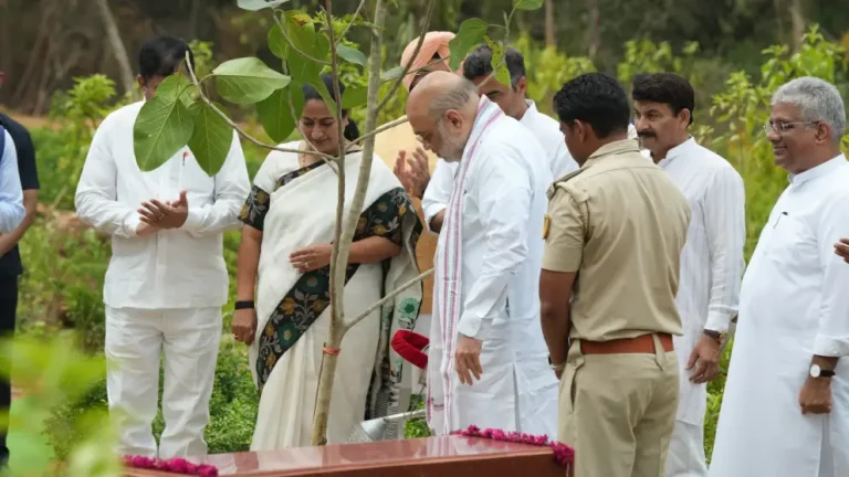 A Greener Delhi: Reviving the Ridge and Planting 70 Lakh Trees